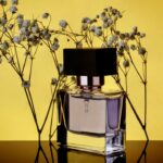 The Art of Smelling Good: A Love Letter to Scent